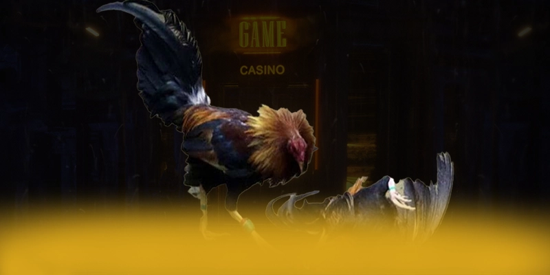 SA88 - Trang game tốc độ cao đang làm mưa làm gió
