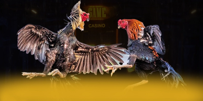 KUWIN - Sảnh game với nhiều tựa game đổi thưởng hấp dẫn được giới cược thủ tin tưởng – Khám phá ngay các trò chơi tại KUWIN