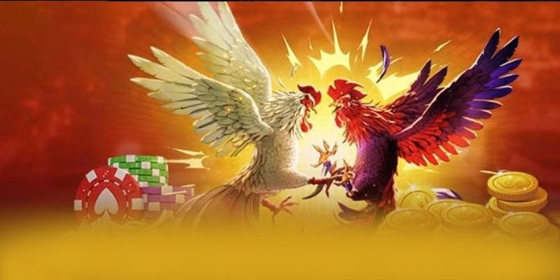 GO8 - Cổng game với chương trình tri ân lớn được giới cược thủ đánh giá cao – Tìm hiểu khuyến mãi độc quyền của GO8