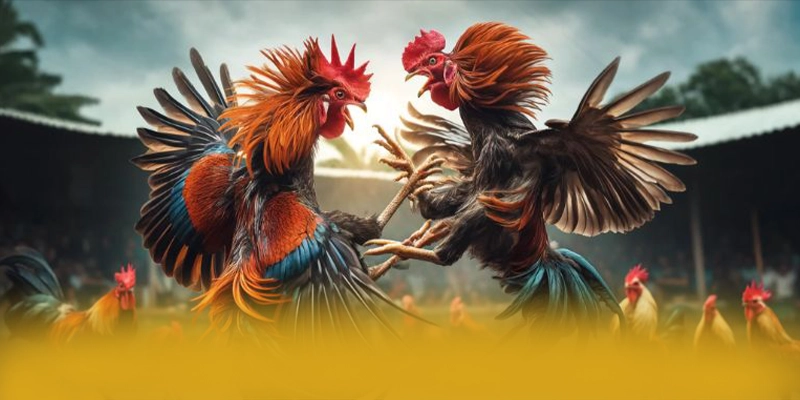 Điểm khác biệt của 8xbet so với các nhà cái khác